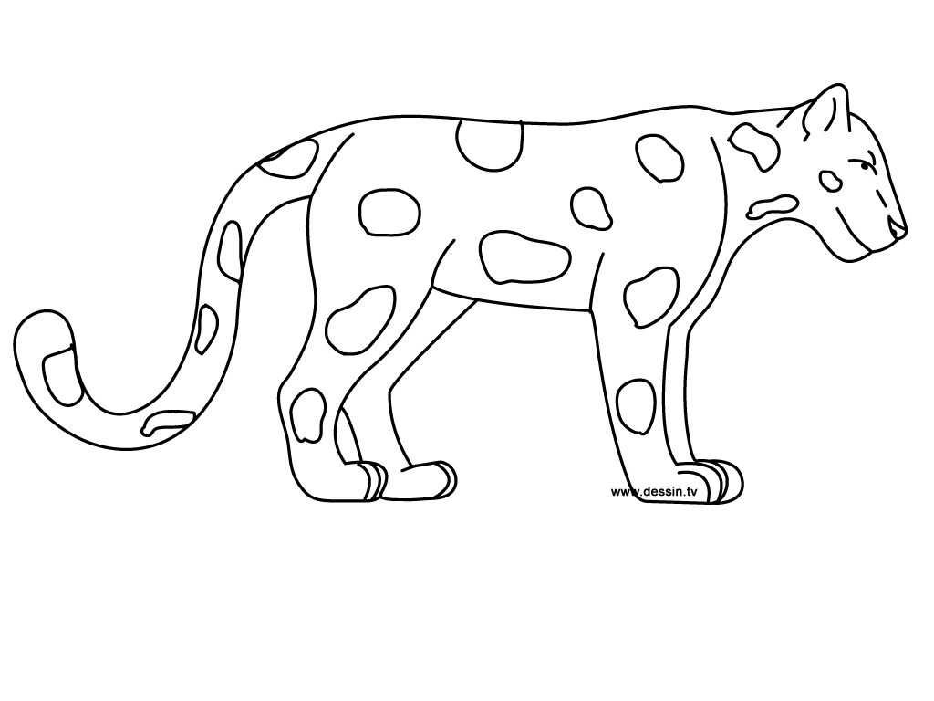 Dibujo para colorear: Jaguar (Animales) #9000 - Dibujos para Colorear e Imprimir Gratis