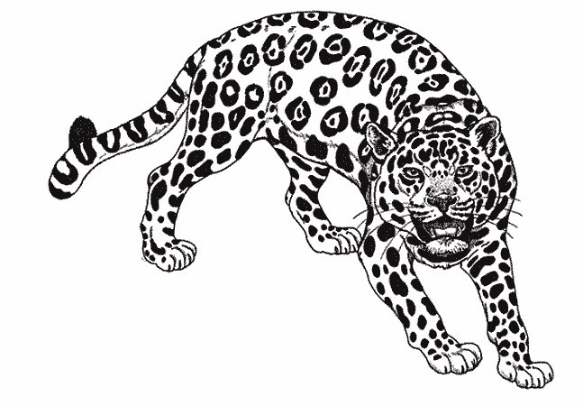 Dibujo para colorear: Jaguar (Animales) #9001 - Dibujos para Colorear e Imprimir Gratis