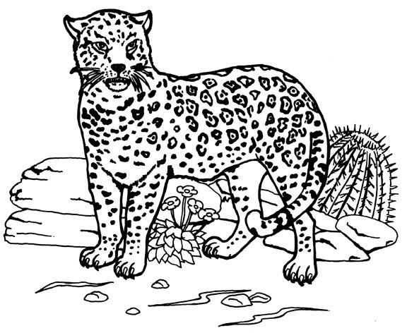 Dibujo para colorear: Jaguar (Animales) #9005 - Dibujos para Colorear e Imprimir Gratis