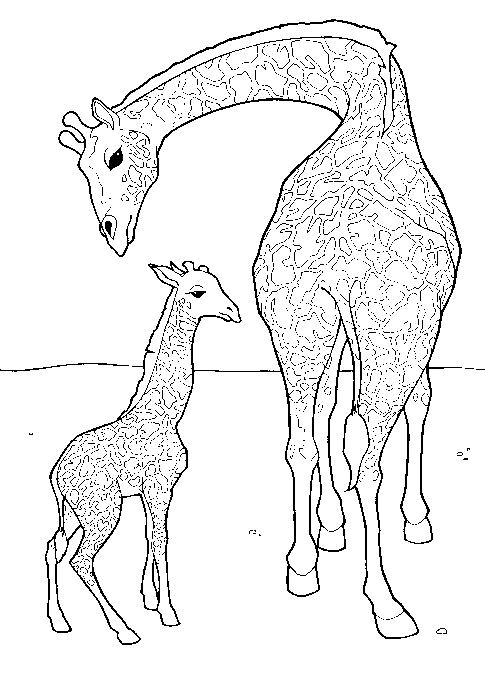 Dibujo para colorear: Jirafa (Animales) #7238 - Dibujos para Colorear e Imprimir Gratis