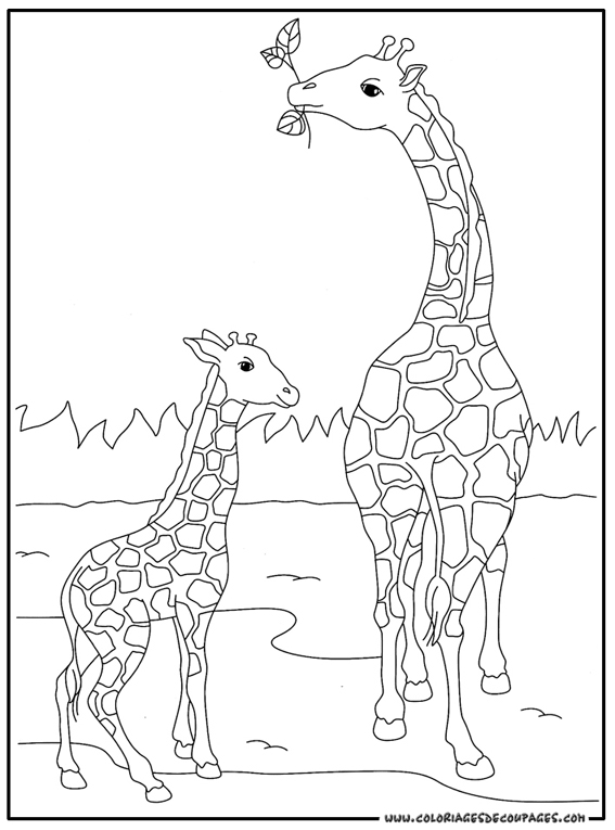 Dibujo para colorear: Jirafa (Animales) #7248 - Dibujos para Colorear e Imprimir Gratis