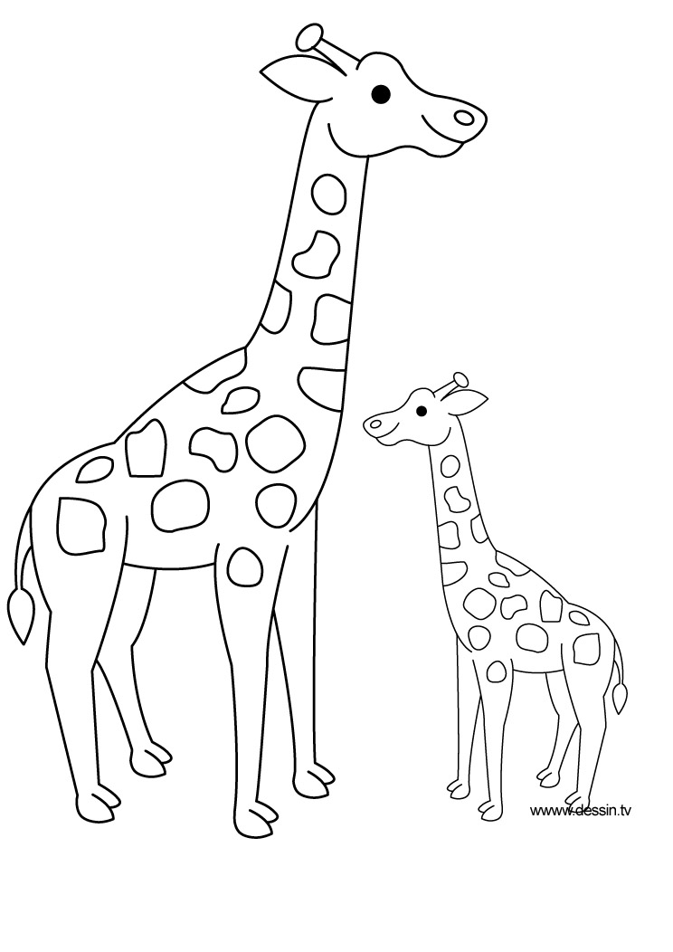 Dibujo para colorear: Jirafa (Animales) #7259 - Dibujos para Colorear e Imprimir Gratis