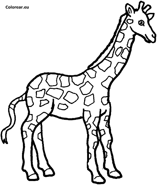 Dibujo para colorear: Jirafa (Animales) #7261 - Dibujos para Colorear e Imprimir Gratis