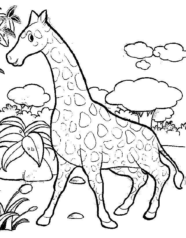 Dibujo para colorear: Jirafa (Animales) #7262 - Dibujos para Colorear e Imprimir Gratis