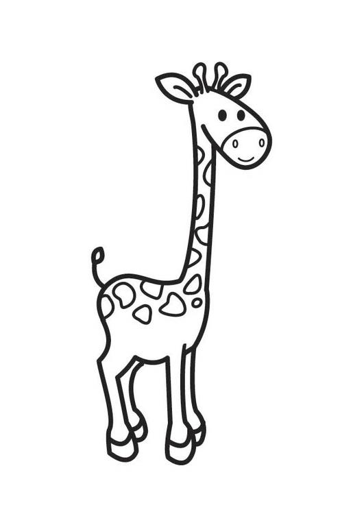 Dibujo para colorear: Jirafa (Animales) #7357 - Dibujos para Colorear e Imprimir Gratis