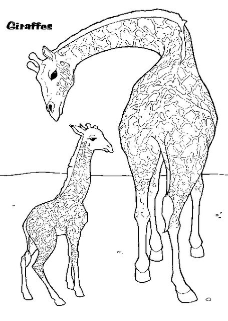 Dibujo para colorear: Jirafa (Animales) #7413 - Dibujos para Colorear e Imprimir Gratis