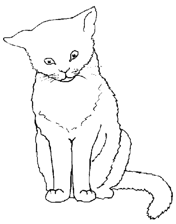 Dibujo para colorear: Kitten (Animales) #18043 - Dibujos para Colorear e Imprimir Gratis