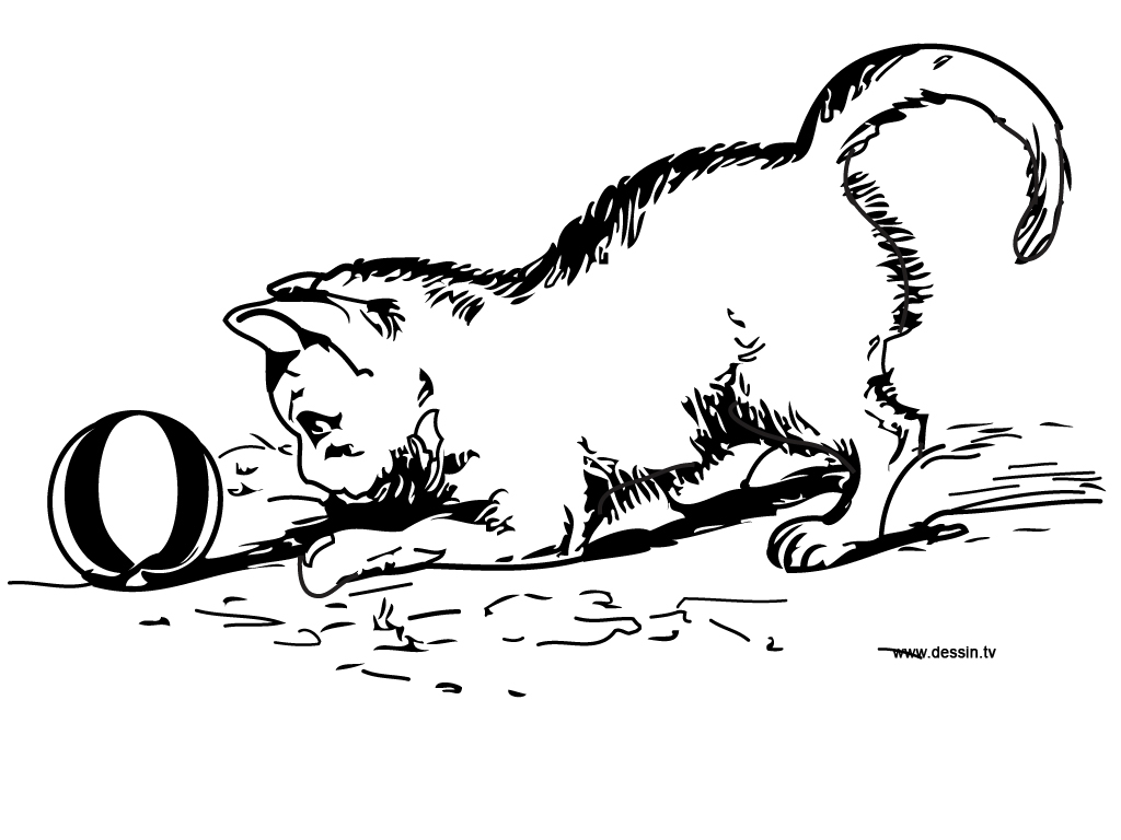 Dibujo para colorear: Kitten (Animales) #18072 - Dibujos para Colorear e Imprimir Gratis