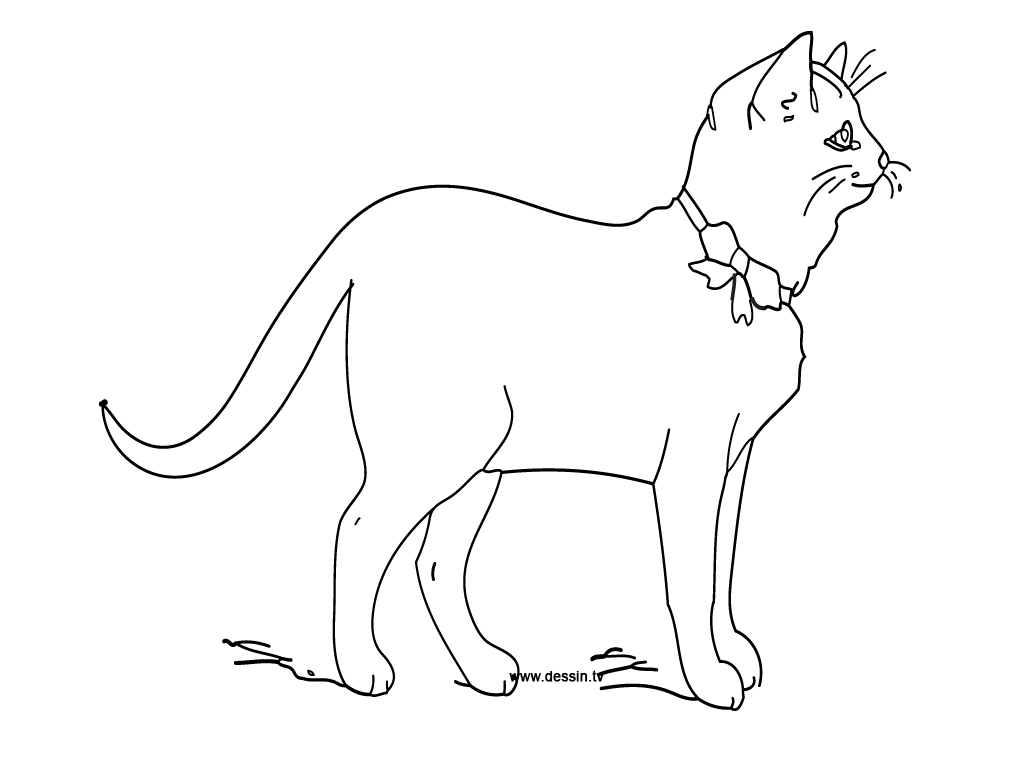Dibujo para colorear: Kitten (Animales) #18084 - Dibujos para Colorear e Imprimir Gratis