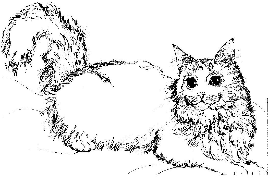 Dibujo para colorear: Kitten (Animales) #18097 - Dibujos para Colorear e Imprimir Gratis