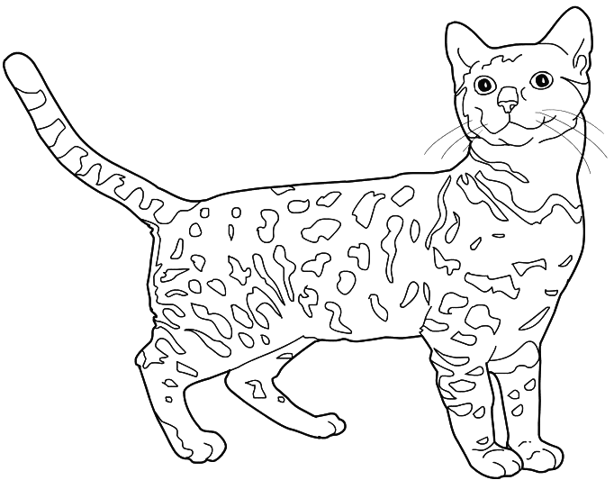 Dibujo para colorear: Kitten (Animales) #18101 - Dibujos para Colorear e Imprimir Gratis
