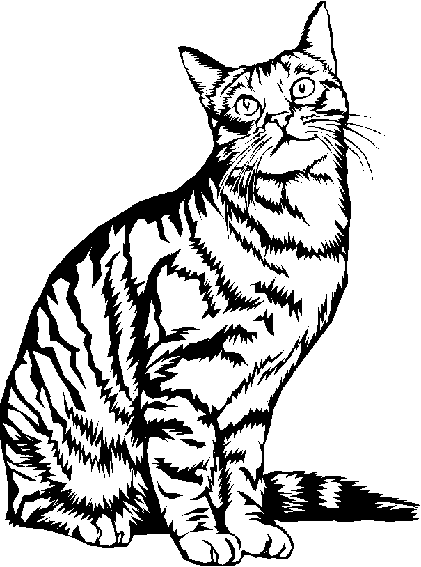 Dibujo para colorear: Kitten (Animales) #18148 - Dibujos para Colorear e Imprimir Gratis