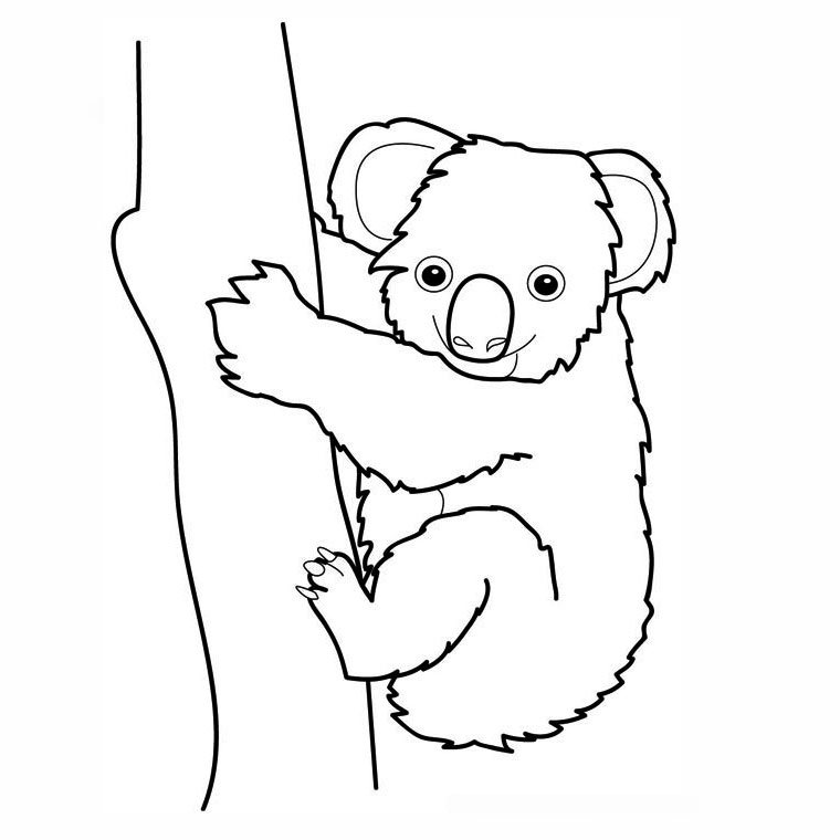 Dibujo para colorear: Koala (Animales) #9300 - Dibujos para Colorear e Imprimir Gratis