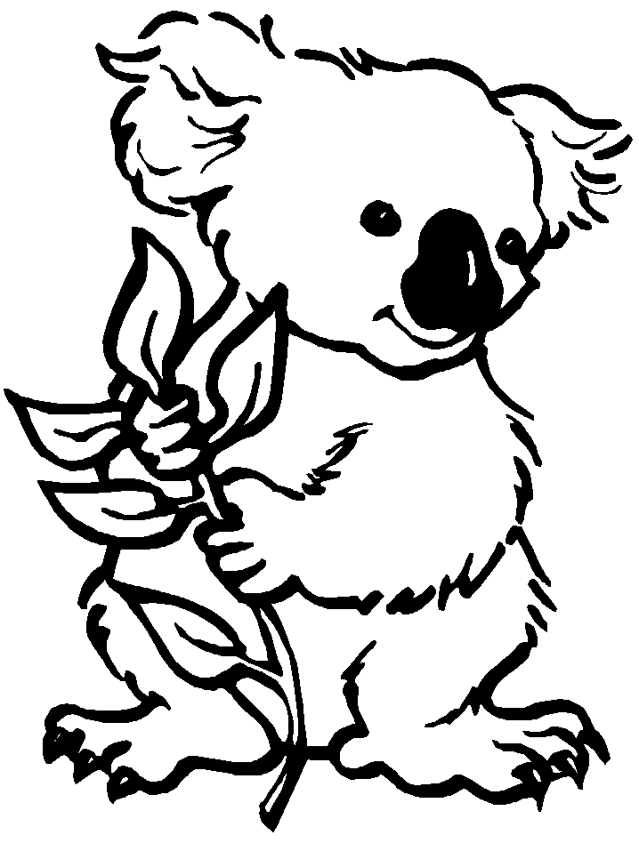 Dibujo para colorear: Koala (Animales) #9303 - Dibujos para Colorear e Imprimir Gratis