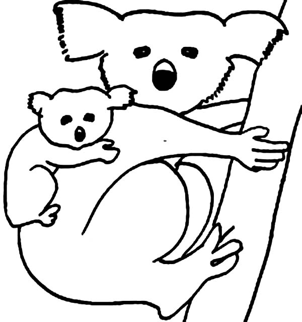Dibujo para colorear: Koala (Animales) #9369 - Dibujos para Colorear e Imprimir Gratis