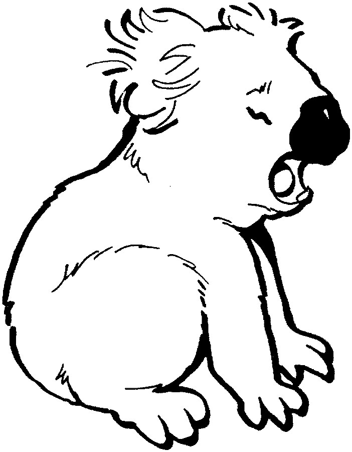 Dibujo para colorear: Koala (Animales) #9381 - Dibujos para Colorear e Imprimir Gratis