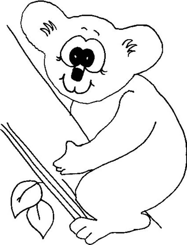 Dibujo para colorear: Koala (Animales) #9393 - Dibujos para Colorear e Imprimir Gratis
