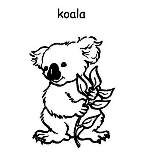 Dibujo para colorear: Koala (Animales) #9420 - Dibujos para Colorear e Imprimir Gratis