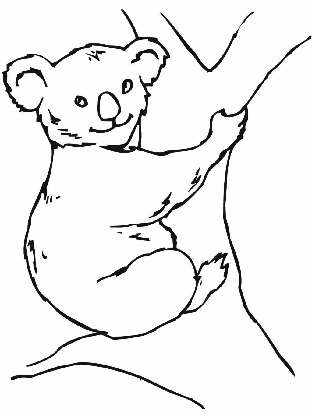 Dibujo para colorear: Koala (Animales) #9462 - Dibujos para Colorear e Imprimir Gratis