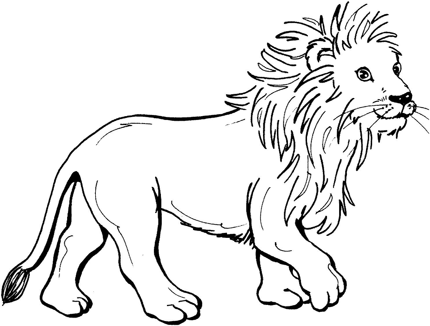 Dibujo para colorear: León (Animales) #10240 - Dibujos para Colorear e Imprimir Gratis