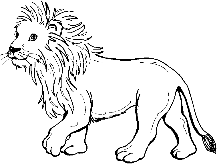 Dibujo para colorear: León (Animales) #10267 - Dibujos para Colorear e Imprimir Gratis