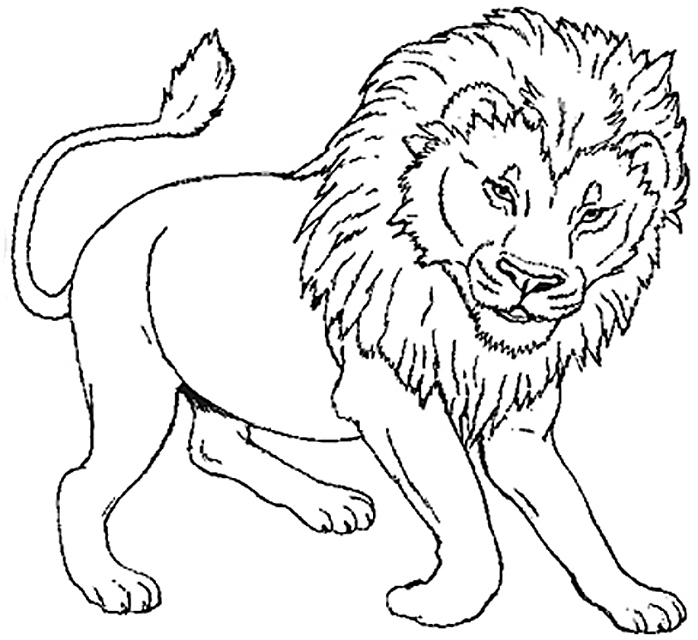 Dibujo para colorear: León (Animales) #10270 - Dibujos para Colorear e Imprimir Gratis