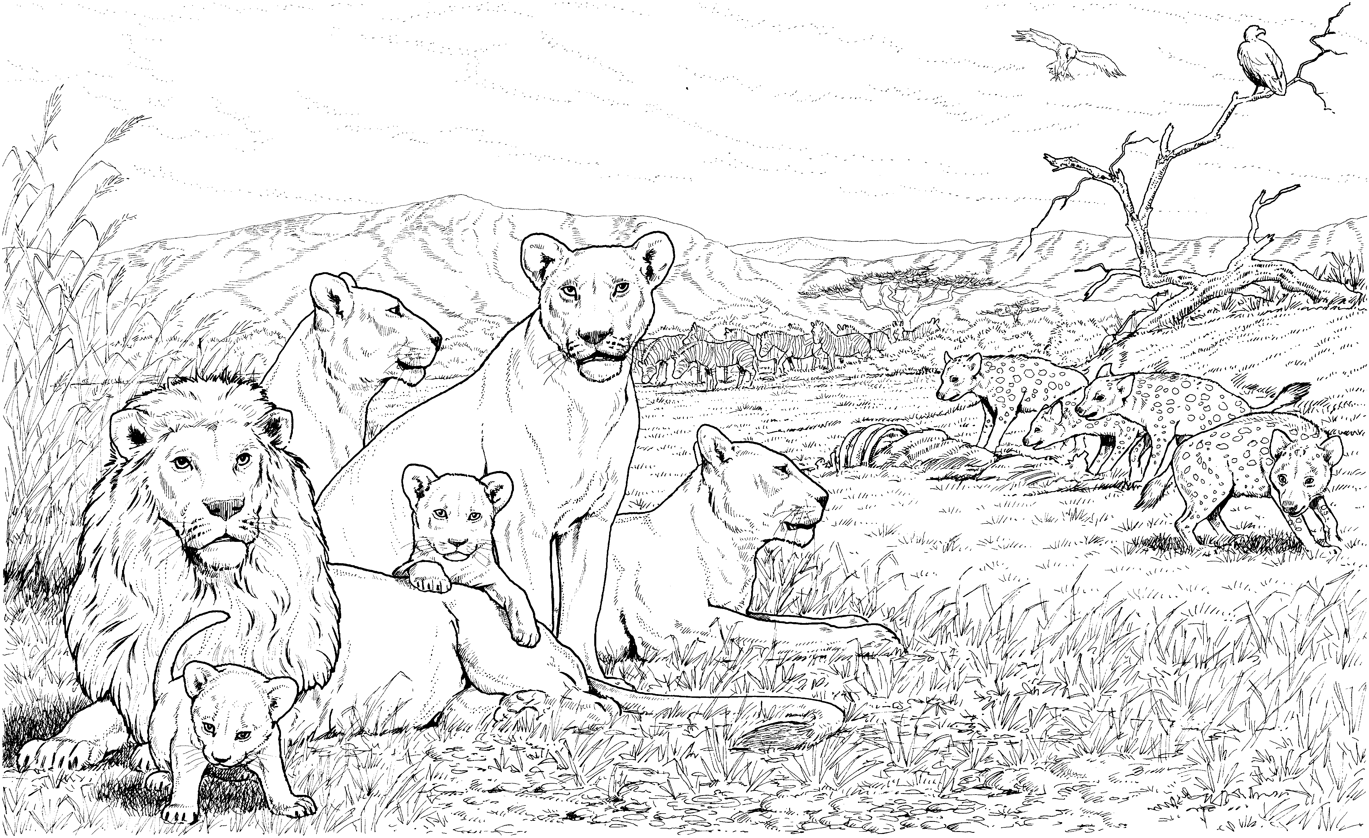 Dibujo para colorear: León (Animales) #10342 - Dibujos para Colorear e Imprimir Gratis