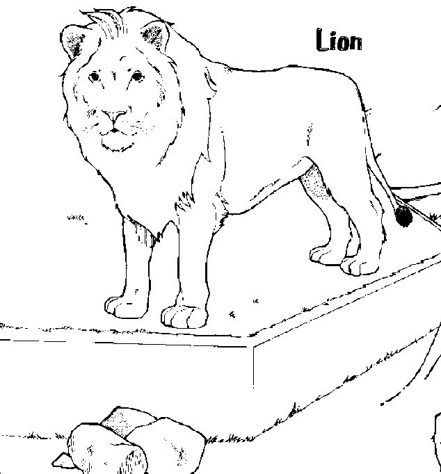 Dibujo para colorear: León (Animales) #10359 - Dibujos para Colorear e Imprimir Gratis