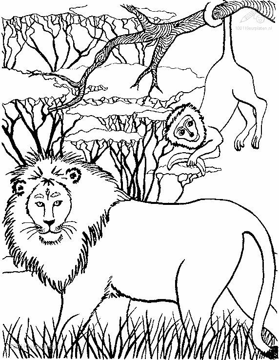 Dibujo para colorear: León (Animales) #10368 - Dibujos para Colorear e Imprimir Gratis