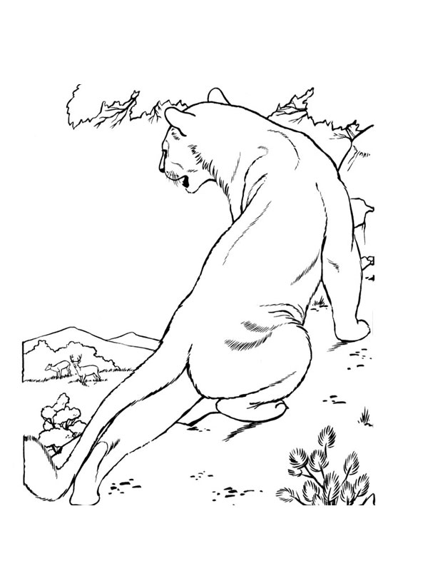 Dibujo para colorear: León (Animales) #10384 - Dibujos para Colorear e Imprimir Gratis