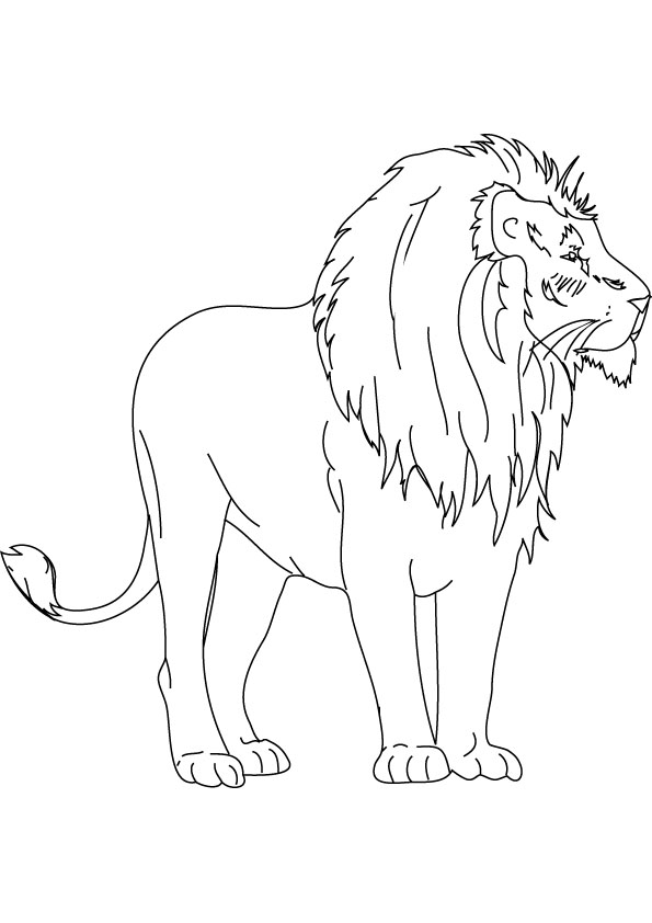 Dibujo para colorear: León (Animales) #10437 - Dibujos para Colorear e Imprimir Gratis