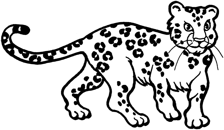 Dibujo para colorear: Leopardo (Animales) #9706 - Dibujos para Colorear e Imprimir Gratis