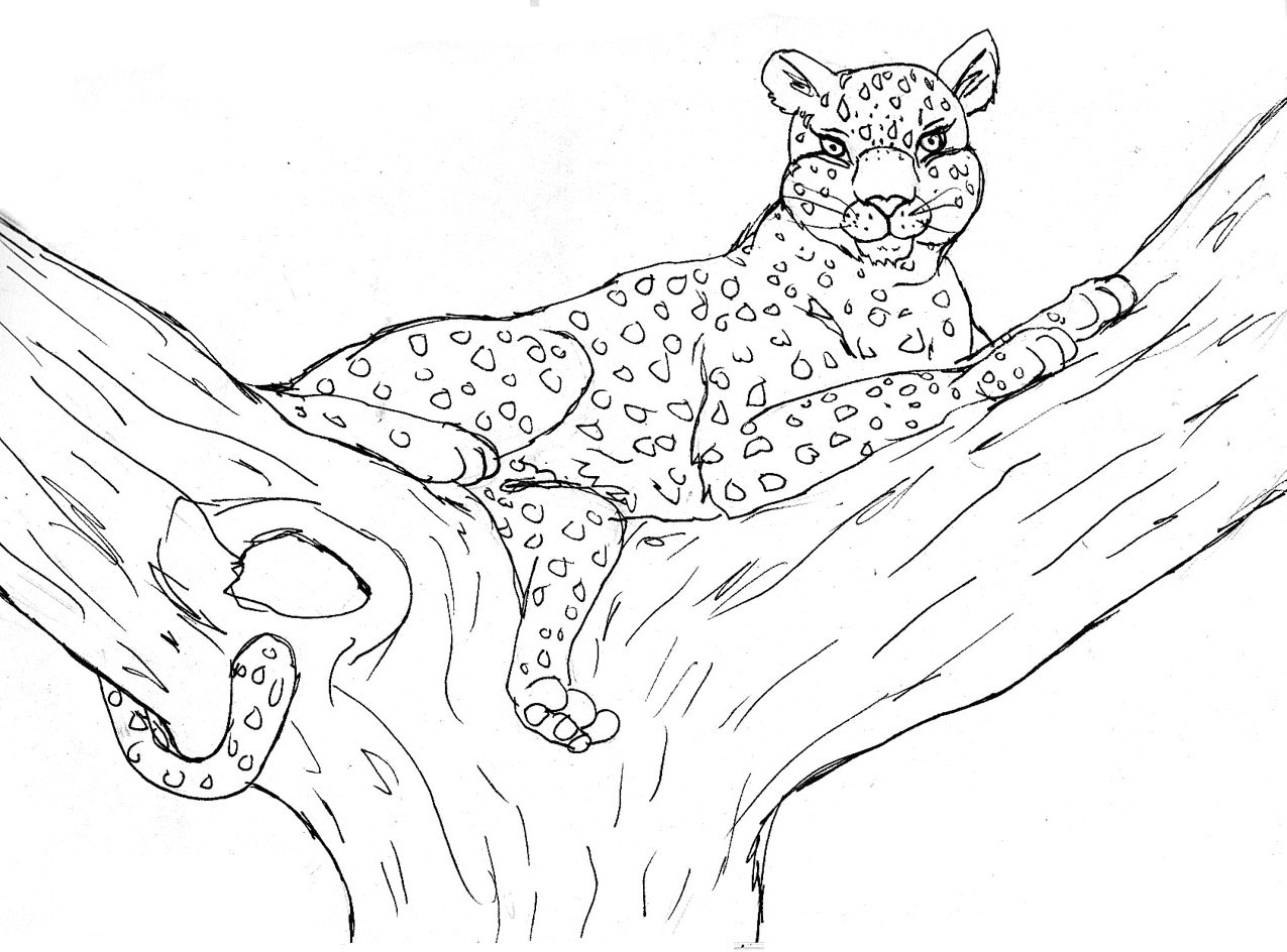 Dibujo para colorear: Leopardo (Animales) #9722 - Dibujos para Colorear e Imprimir Gratis