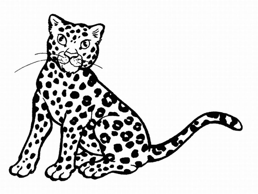 Dibujo para colorear: Leopardo (Animales) #9735 - Dibujos para Colorear e Imprimir Gratis