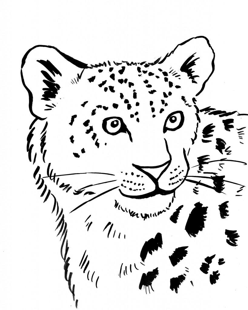Leopardo 24 Animales Páginas Para Colorear