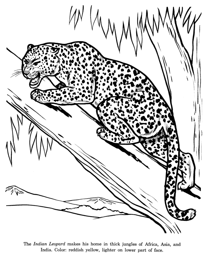 Dibujo para colorear: Leopardo (Animales) #9748 - Dibujos para Colorear e Imprimir Gratis