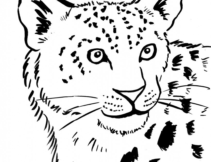 Dibujo para colorear: Leopardo (Animales) #9759 - Dibujos para Colorear e Imprimir Gratis