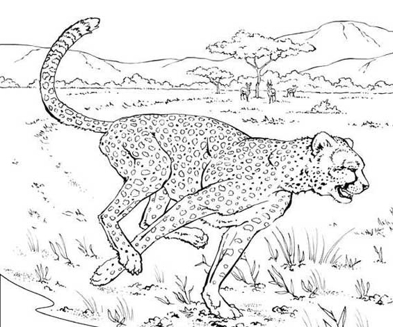 Dibujo para colorear: Leopardo (Animales) #9798 - Dibujos para Colorear e Imprimir Gratis