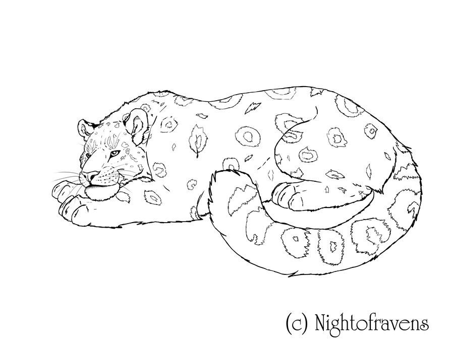 Dibujo para colorear: Leopardo (Animales) #9801 - Dibujos para Colorear e Imprimir Gratis