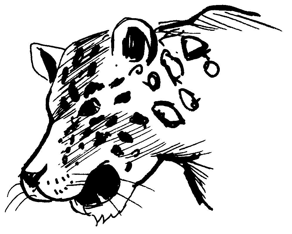 Dibujo para colorear: Leopardo (Animales) #9807 - Dibujos para Colorear e Imprimir Gratis