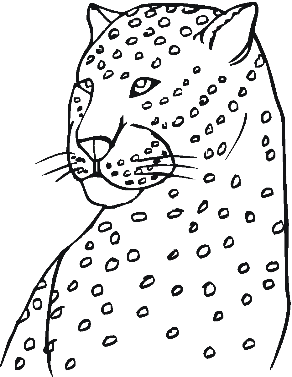 Dibujo para colorear: Leopardo (Animales) #9814 - Dibujos para Colorear e Imprimir Gratis