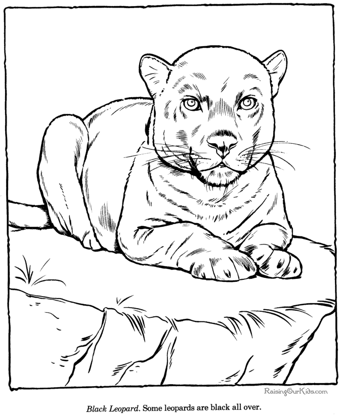 Dibujo para colorear: Leopardo (Animales) #9822 - Dibujos para Colorear e Imprimir Gratis