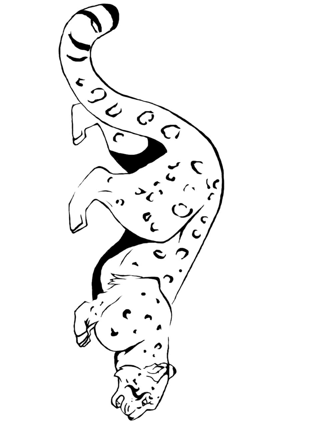 Dibujo para colorear: Leopardo (Animales) #9823 - Dibujos para Colorear e Imprimir Gratis
