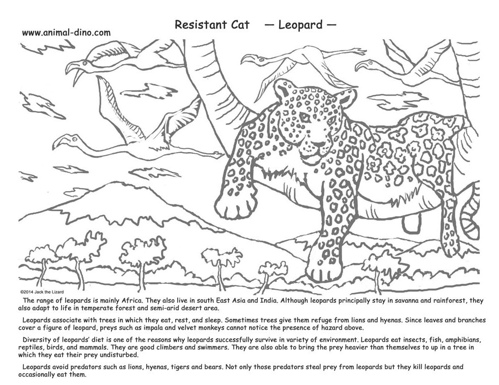 Dibujo para colorear: Leopardo (Animales) #9858 - Dibujos para Colorear e Imprimir Gratis