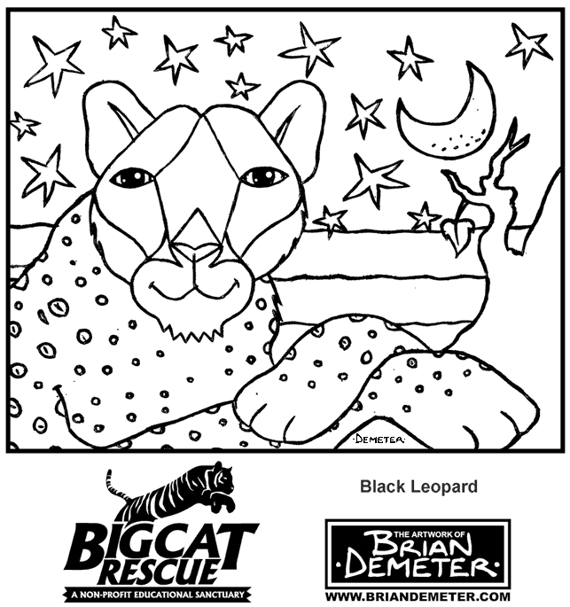 Dibujo para colorear: Leopardo (Animales) #9864 - Dibujos para Colorear e Imprimir Gratis