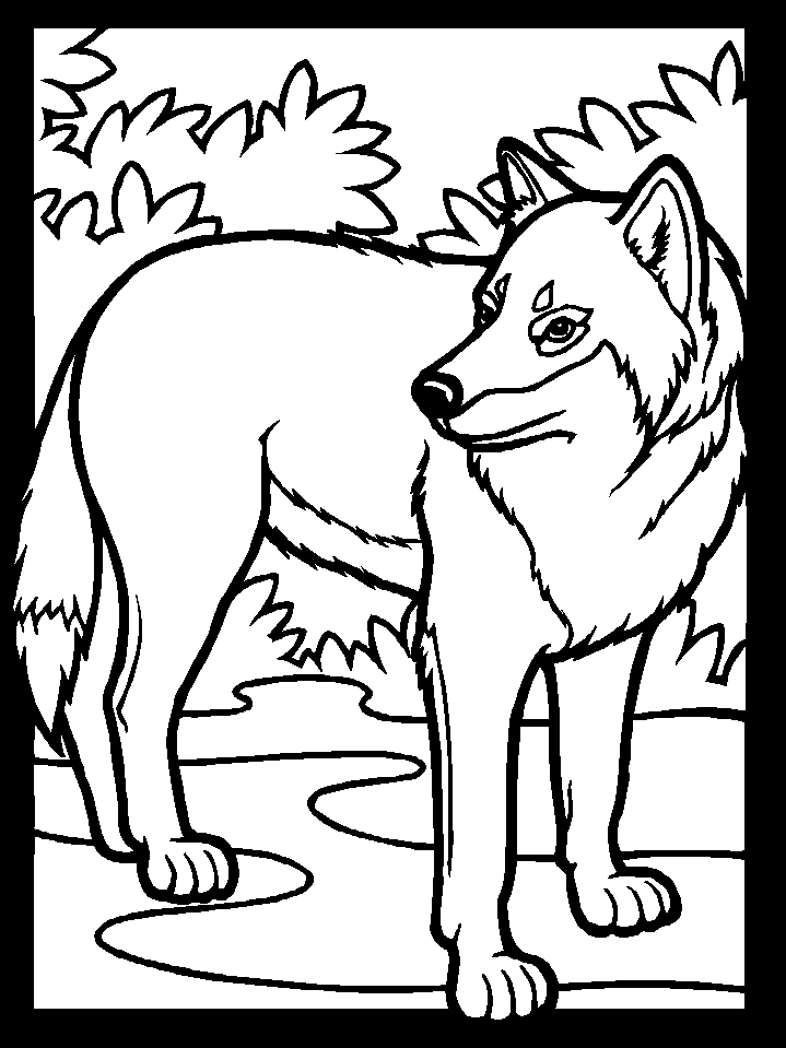 Dibujo para colorear: Lobo (Animales) #10440 - Dibujos para Colorear e Imprimir Gratis