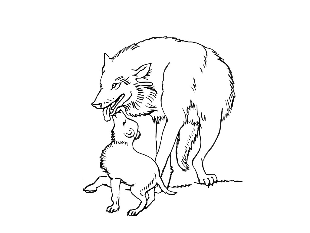 Dibujo para colorear: Lobo (Animales) #10445 - Dibujos para Colorear e Imprimir Gratis