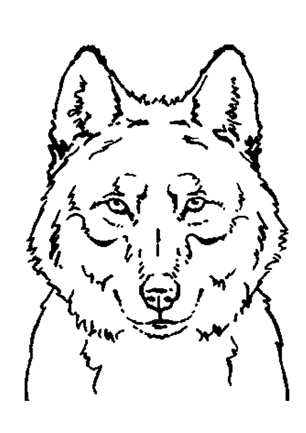 Dibujo para colorear: Lobo (Animales) #10450 - Dibujos para Colorear e Imprimir Gratis