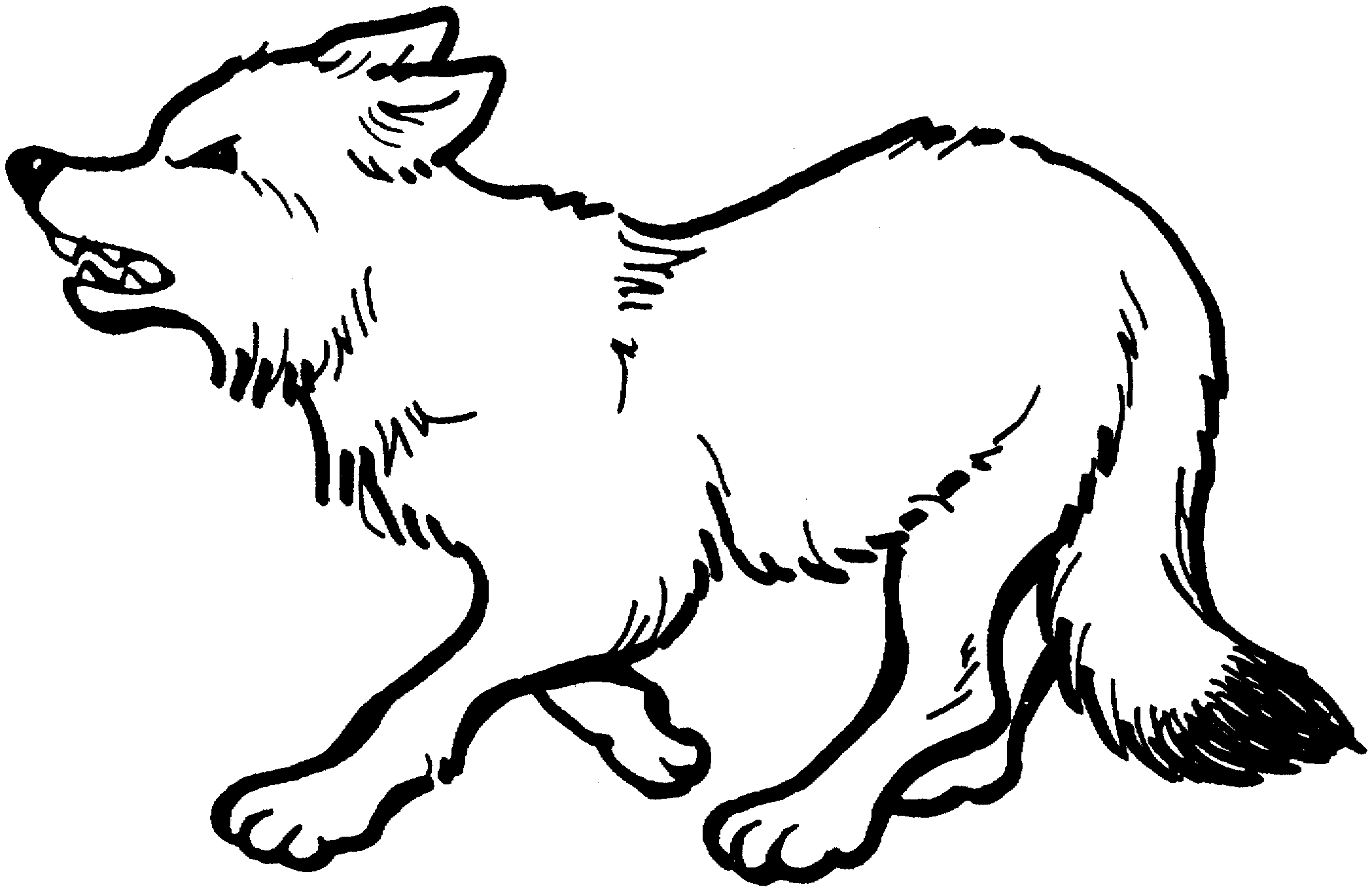 Dibujo para colorear: Lobo (Animales) #10475 - Dibujos para Colorear e Imprimir Gratis