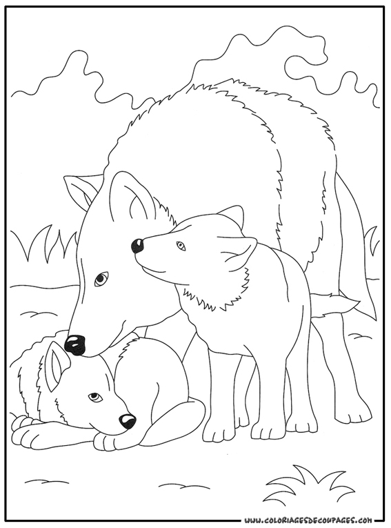 Dibujo para colorear: Lobo (Animales) #10491 - Dibujos para Colorear e Imprimir Gratis